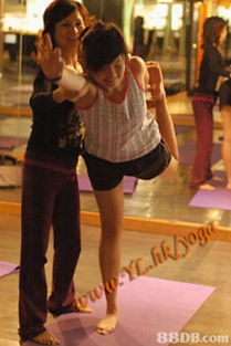 ivy yoga 长春藤 瑜伽提供瑜伽舞 瑜伽训练 孕妇瑜伽等服务 sport fitness yoga